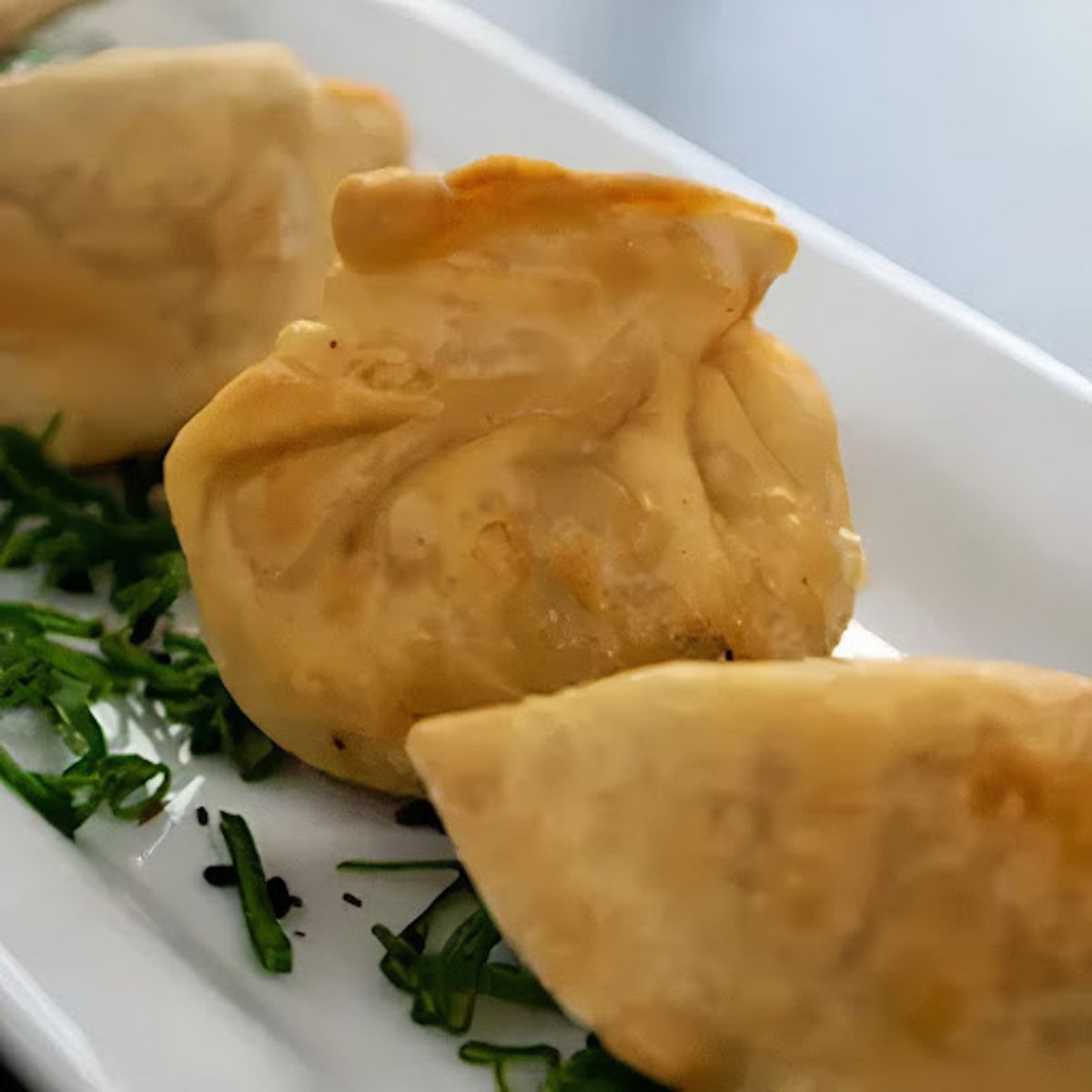 Gyozas De Verduras